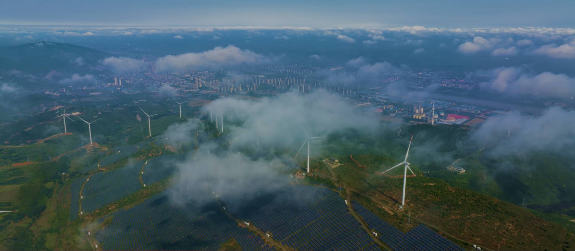 WePoker官网-不凡成绩非凡,相信品牌的实力